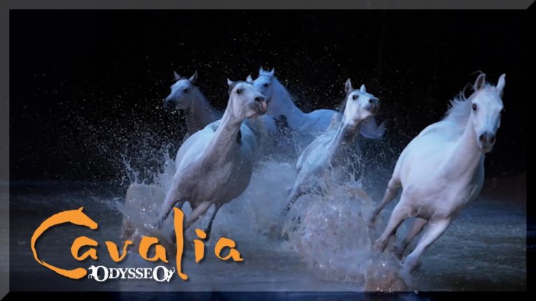 Cavalia 공연 : 말과 인간의 멋진 교감