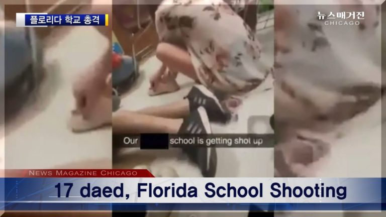 플로리다 고교 총격 17명 사망