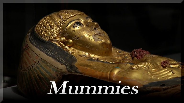수천년의 신비 , 미라 특별전 Field Museum