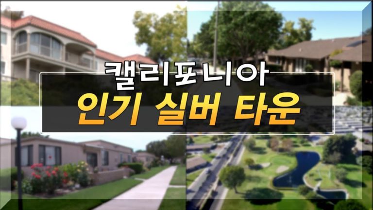 [종합] 라구나우즈, 라미라다, 실비치 – 실버 커뮤니티 탐방