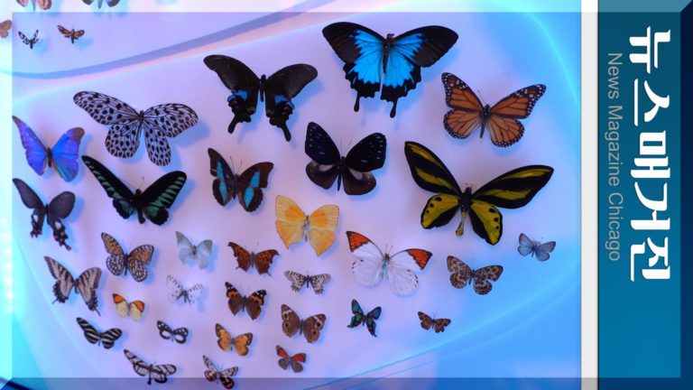 Upload.00_03_05_07.Still025