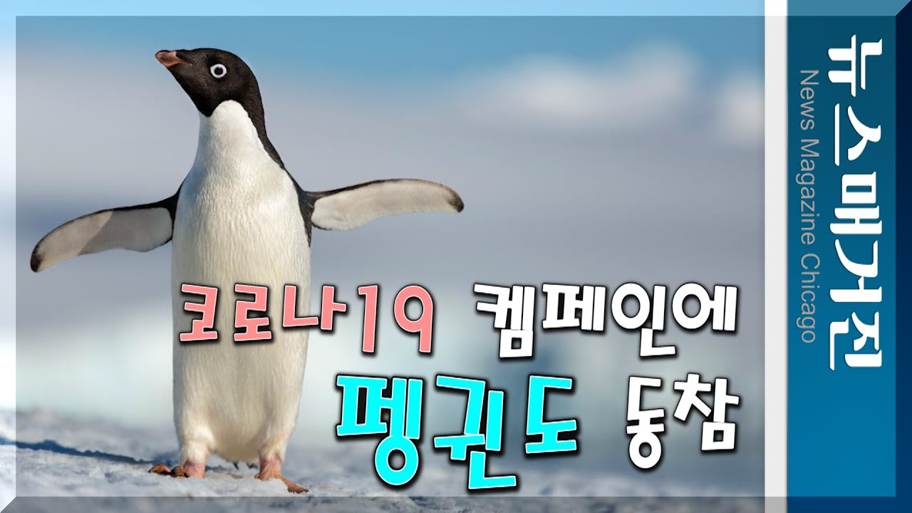 펭귄도 Covid19 예방 홍보