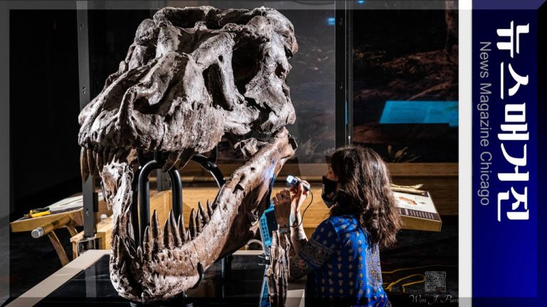 6천7백만년 전 공룡 SUE가 성병으로 죽었다고?