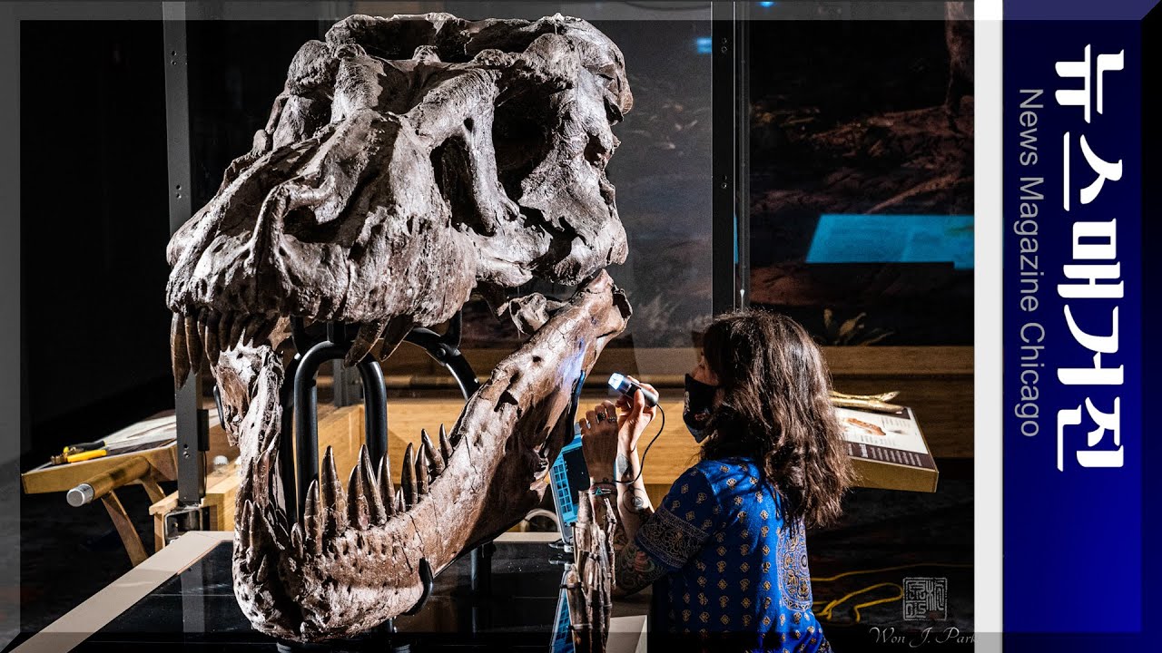 6천7백만년 전 공룡 SUE가 성병으로 죽었다고?