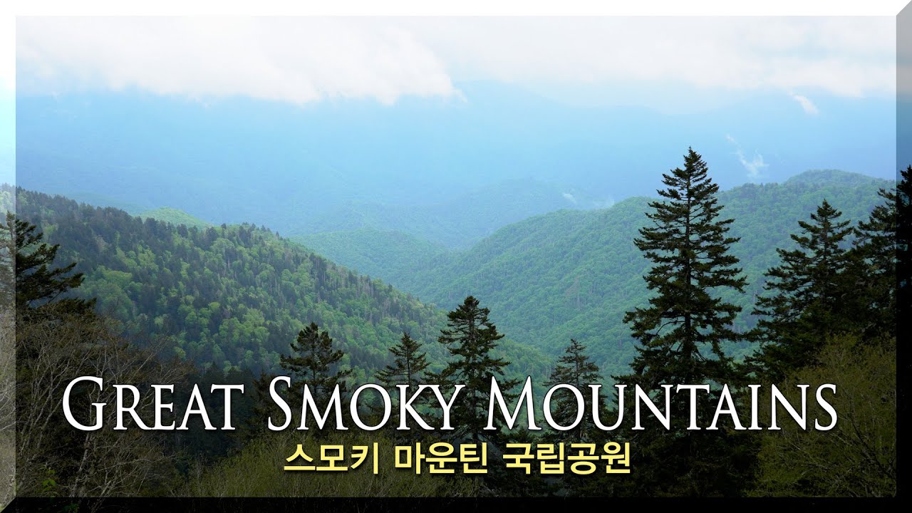 녹음 짙은 스모키 마운틴 국립공원