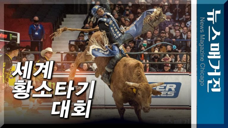 세계황소타기대회 PBR 시카고 경기