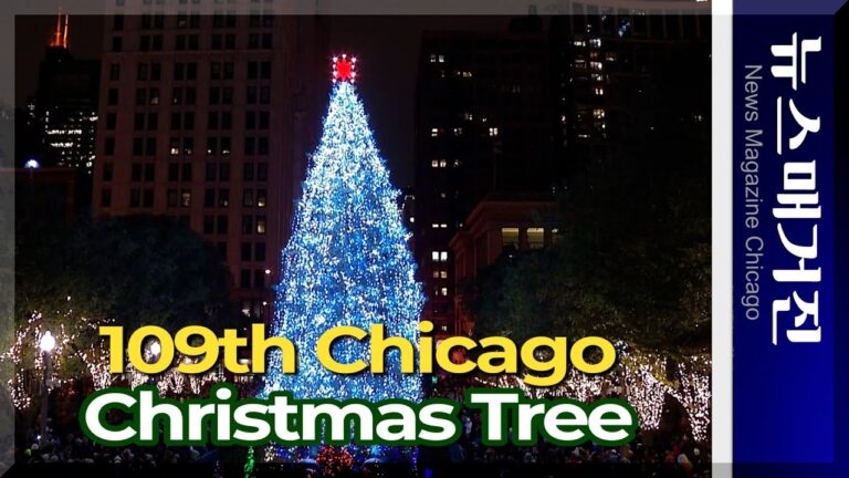 109년째 열린 시카고의 크리스마스 트리 점등