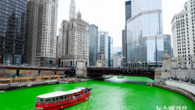 Chicago River Dyeing 2023-5