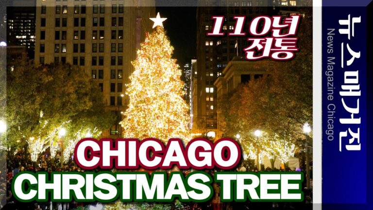 110년째 이어온 시카고의 크리스마스 트리 점등