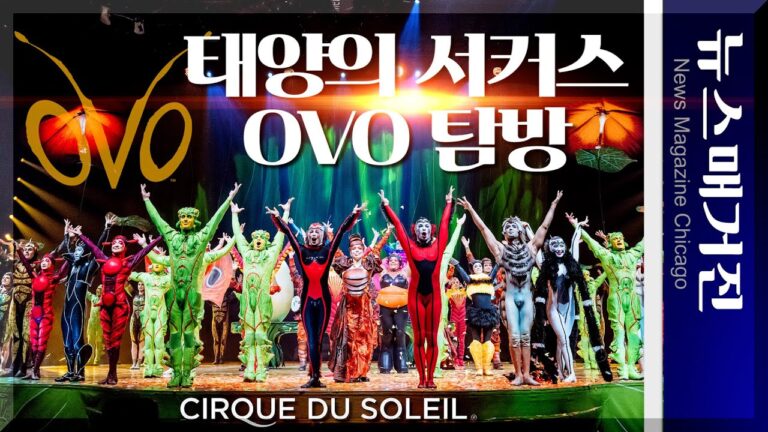 [공연 탐방] 태양의 서커스, OVO로 돌아오다