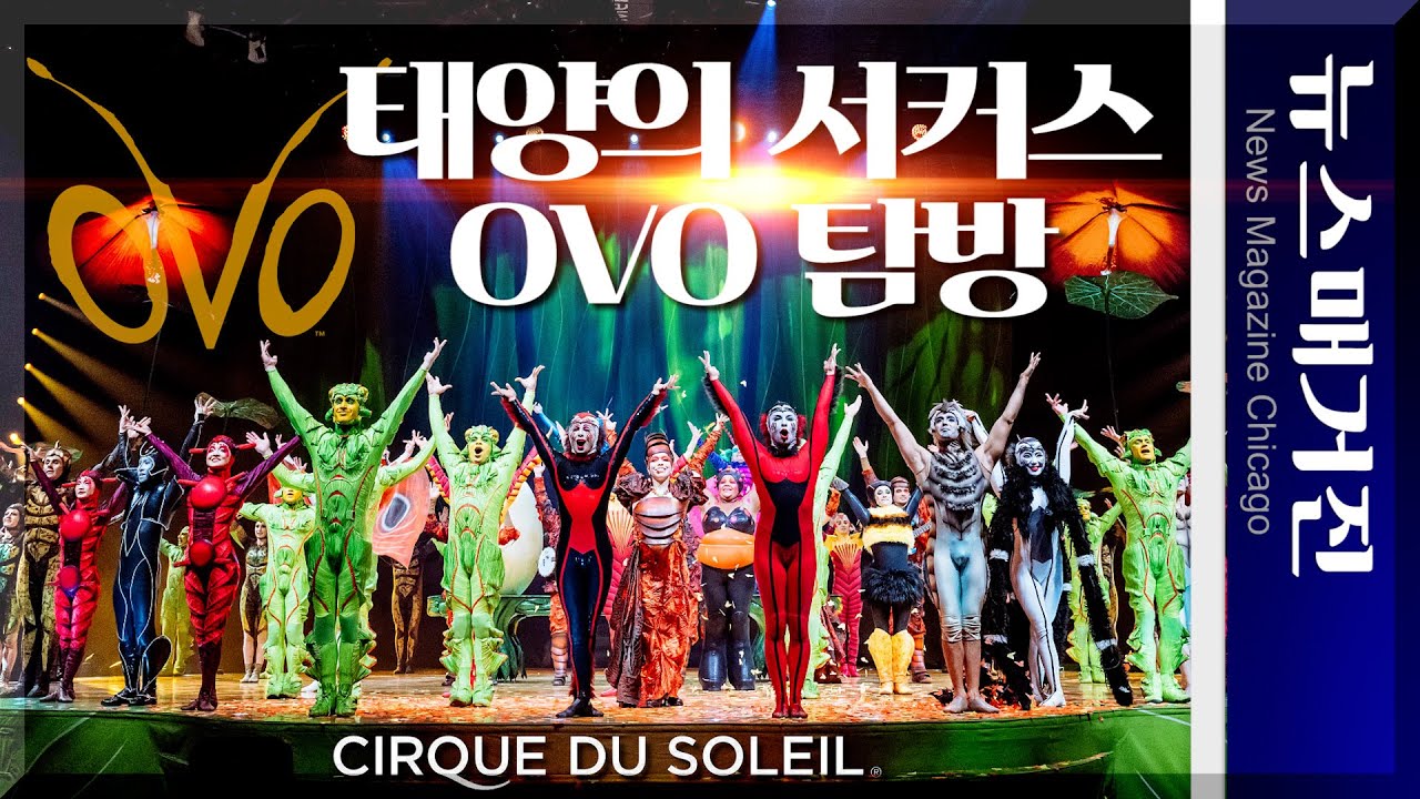 [공연 탐방] 태양의 서커스, OVO로 돌아오다